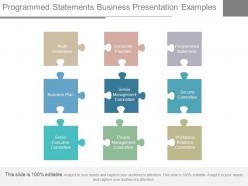 Programmed Statements Business Presentation Examples
