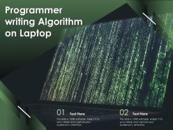 Programmer Writing Algorithm On Laptop