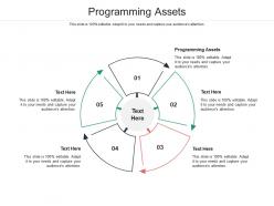 Programming assets ppt powerpoint presentation ideas background designs cpb