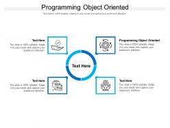 Programming object oriented ppt powerpoint presentation inspiration demonstration cpb