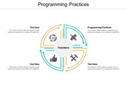 Programming practices ppt powerpoint presentation show design inspiration cpb