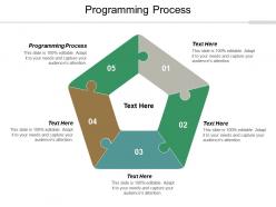 Programming process ppt powerpoint presentation professional show cpb