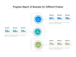 Progress report of business for different product