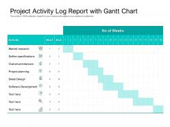 Project activity log report with gantt chart