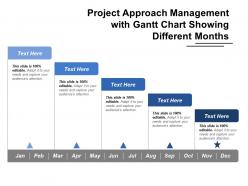 Project approach management with gantt chart showing different months