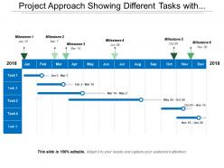 Project approach showing different tasks with milestone of the twelve month