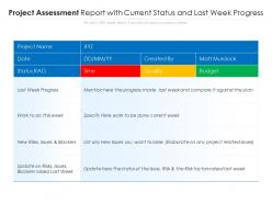 Project assessment report with current status and last week progress