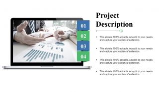Project Brief Summary Powerpoint Presentation Slides