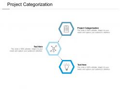 Project categorization ppt powerpoint presentation summary ideas cpb
