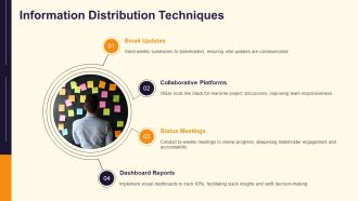 Project Communication Plan Roles Channels Frequency PPT Structure AT Customizable Best