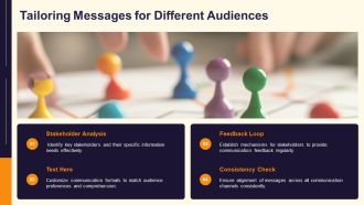 Project Communication Plan Roles Channels Frequency PPT Structure AT Designed Best