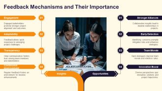 Project Communication Plan Roles Channels Frequency PPT Structure AT Professional Best
