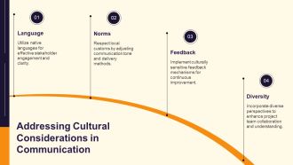Project Communication Plan Roles Channels Frequency PPT Structure AT Analytical Best