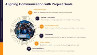 Project Communication Plan Roles Channels Frequency PPT Structure AT Multipurpose Best