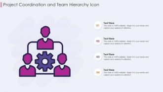 Project coordination and team hierarchy icon