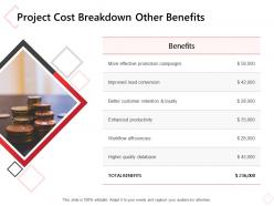 Project cost breakdown other benefits ppt powerpoint presentation portfolio objects