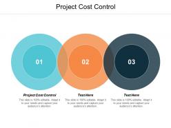 Project cost control ppt powerpoint presentation slides clipart images cpb