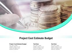 Project cost estimate budget ppt powerpoint presentation show sample cpb