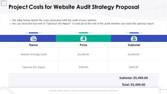 Project costs for website audit strategy proposal