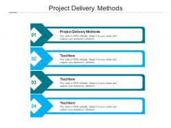 Project delivery methods ppt powerpoint presentation slides background designs cpb