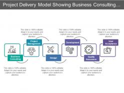 Project delivery model showing business consulting project management and design