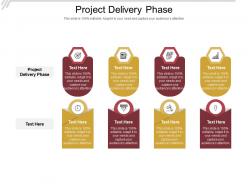 Project delivery phase ppt powerpoint presentation portfolio example cpb