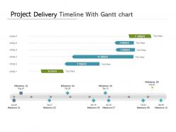 Project delivery timeline with gantt chart