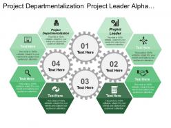 Project departmentalization project leader alpha project beta project