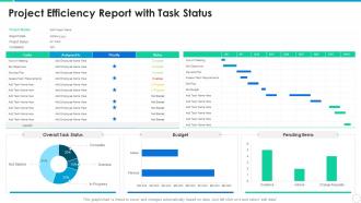 Project Efficiency Report With Task Status