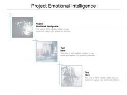 Project emotional intelligence ppt powerpoint presentation professional demonstration cpb