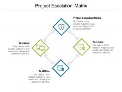 Project escalation matrix ppt powerpoint presentation professional background designs cpb