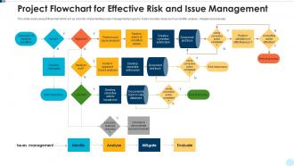 Project flowchart for effective risk and issue management