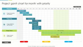Project Gantt Chart For Month With Priority