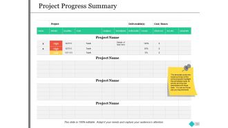 Project Governance Model Powerpoint Presentation Slides