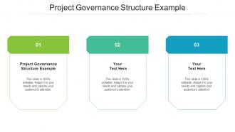 Project Governance Structure Example Ppt Powerpoint Presentation Layouts Deck Cpb