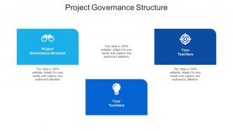 Project Governance Structure Ppt Powerpoint Presentation Gallery Pictures Cpb