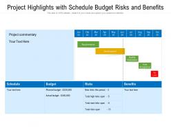 Project highlights with schedule budget risks and benefits