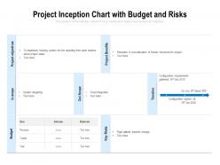 Project inception chart with budget and risks