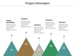 Project information ppt powerpoint presentation infographic template design templates cpb