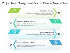 Project issue management process flow in arrows chart