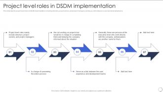 Project Level Roles In Dsdm Implementation Dsdm Process Ppt Styles Infographic Template