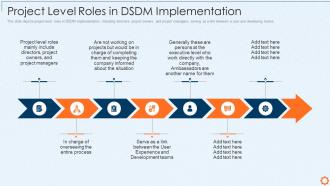 Project level roles in dsdm implementation dynamic system development method dsdm it