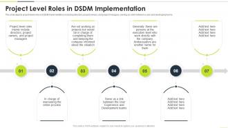 Project Level Roles In DSDM Implementation Ppt Powerpoint Presentation Infographic Template
