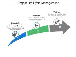 Project life cycle management ppt powerpoint presentation layouts picture cpb