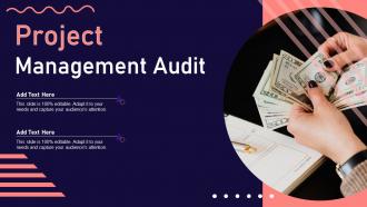 Project Management Audit Ppt Professional