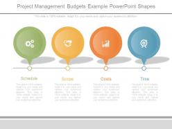 Project Management Budgets Example Powerpoint Shapes