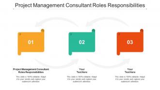 Project management consultant roles responsibilities ppt powerpoint background designs cpb