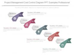 Project management cost control diagram ppt examples professional