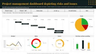 Project Management Dashboard Depicting Risks And Issues