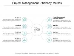 Project management efficiency metrics ppt powerpoint presentation maker cpb